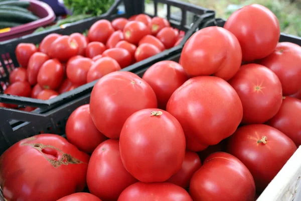 Tomates Orgânicos Frescos Mercado Agricultor Padrão Tomate — Fotografia de Stock