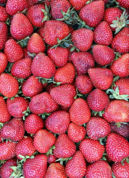 Fresas Marco Completo Patrón Fresa —  Fotos de Stock