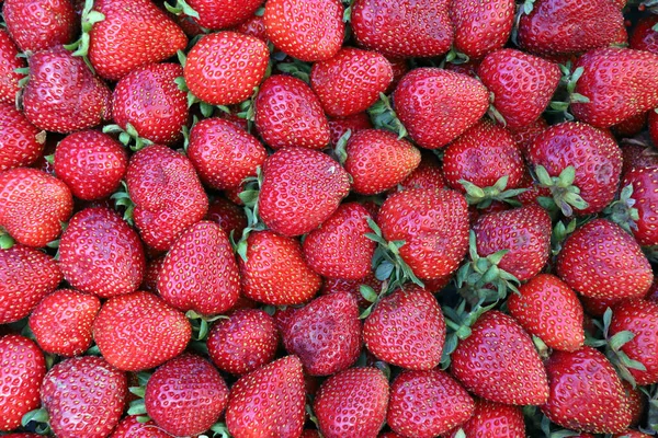 Φράουλες Γεμάτες Σχήμα Φράουλας — Φωτογραφία Αρχείου