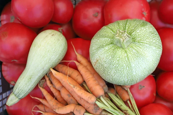 Зеленые Цуккини Морковь Помидоры Сельскохозяйственные Овощи — стоковое фото