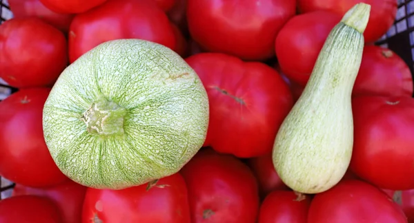 Courgettes Vertes Tomates Légumes Fond — Photo