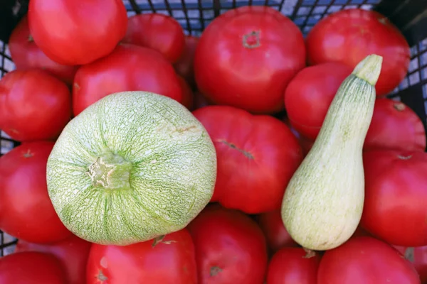 Abobrinha Verde Tomates Fundo Legumes — Fotografia de Stock