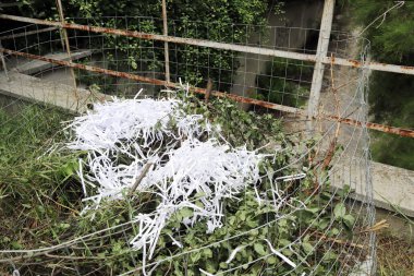 Organik beste. İnsanlar bahçede biyo-komposter kutusu yapıyorlar..