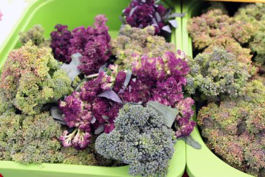 Renkli brokoli sebzelerinin çeşitliliği.