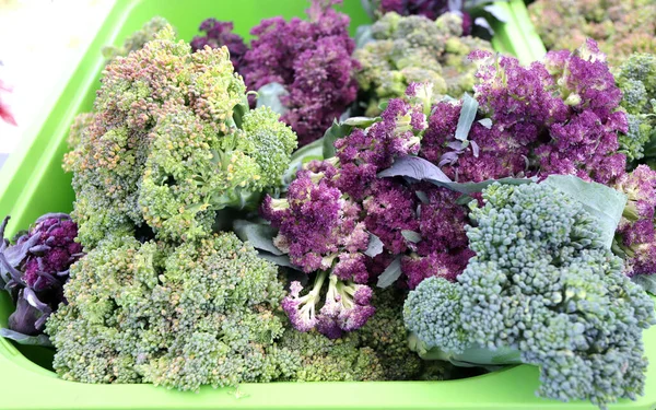 Renkli brokoli sebzelerinin çeşitliliği.