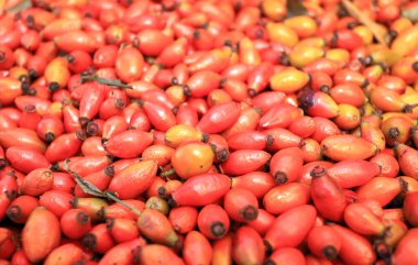 Rosehips 'in tam kare fotoğrafı.