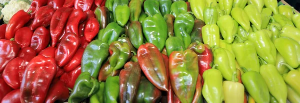 Barevné Červené Zelené Papriky Plný Rám — Stock fotografie