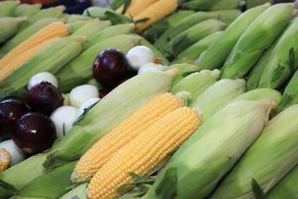 Kolorowy Skład Surowego Kukurydzy Cebuli Białej Czerwonej — Zdjęcie stockowe