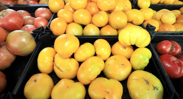 Große Gelbe Bio Tomaten Auf Einem Markt Bei Tageslicht — Stockfoto