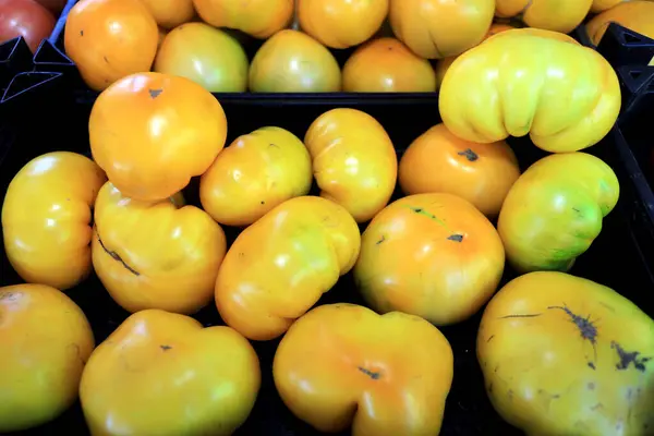 Tomates Amarelos Orgânicos Grandes Mercado Luz Dia — Fotografia de Stock