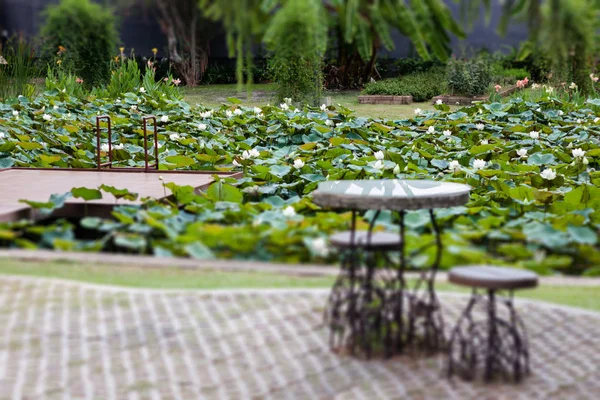 Tisch und Stühle im Garten dekoriert — Stockfoto