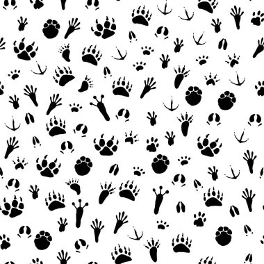 Hayvanlar ve kuşlar sorunsuz arka plan izleri