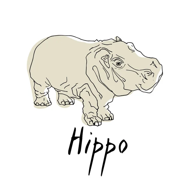 Mignon hippopotame dessin animé de l'illustration — Image vectorielle