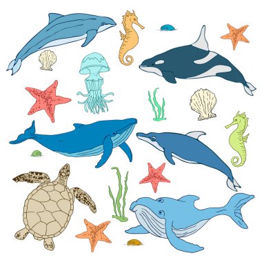 Çizgi film deniz canlılarının kümesi. Deniz memelileri illüstrasyon. Vektör çizim