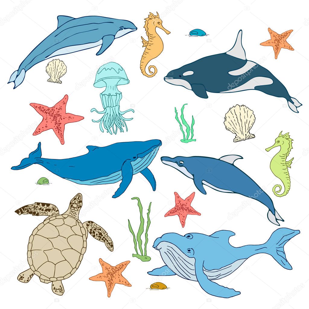 Set of cartoon sea creatures. Marine mammals illustration. Vector illustration