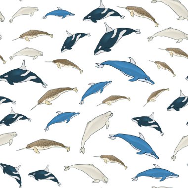 Çizgi film balinaların seamless modeli. Balinalar beyaz bir arka plan üzerinde türlerin kümesi. Vektör çizim