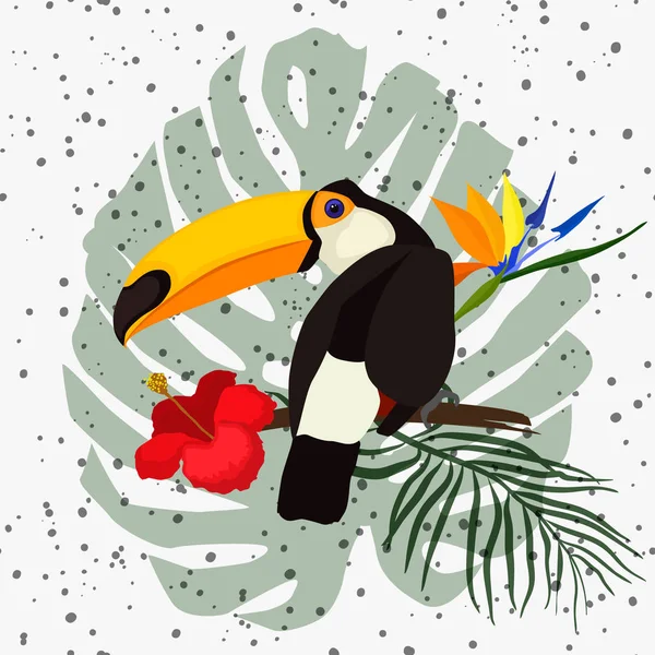 Toucan em um fundo floral —  Vetores de Stock