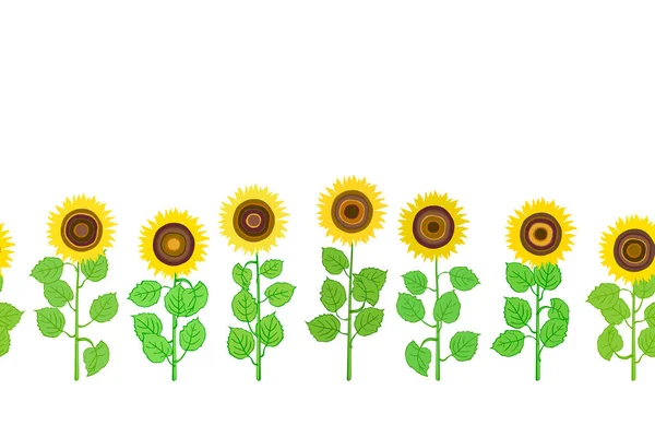 Fondo horizontal sin costuras de plantas de girasol — Archivo Imágenes Vectoriales