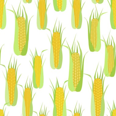 Beyaz mısır koçanlarının dikişsiz deseni