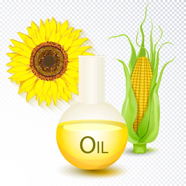 Corncob, słonecznik, kolba olejowa izolowana — Wektor stockowy