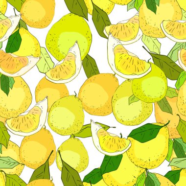 Kusursuz desen Pomelo el çizimi