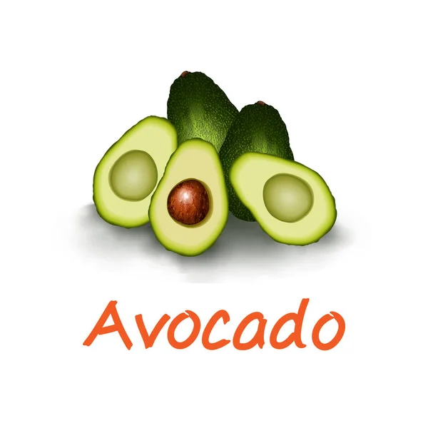 Realistische Groene Avocado Fruit Voor Gezond Eten Geïsoleerd Witte Achtergrond — Stockvector