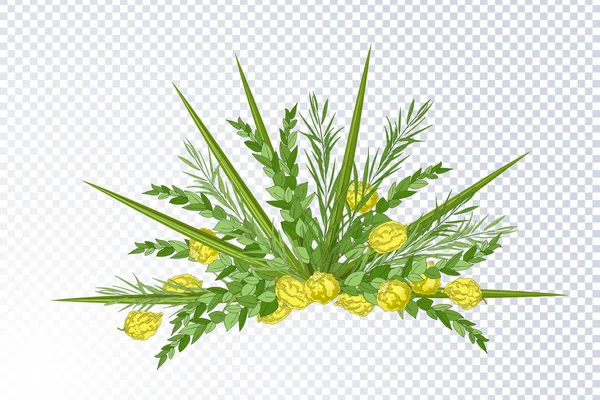 Traditional Jewish Holiday Sukkot Jewish Torah Lulav Date Palm Etrog — Stock Vector