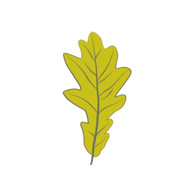 Sonbahar solmuş meşe yaprağının düz vektör çizimi. Bitki örtüsü için doğal sonbahar yaprakları beyaz arka planda izole edilmiş. Sonbahar yaprakları mevsimsel arkaplan