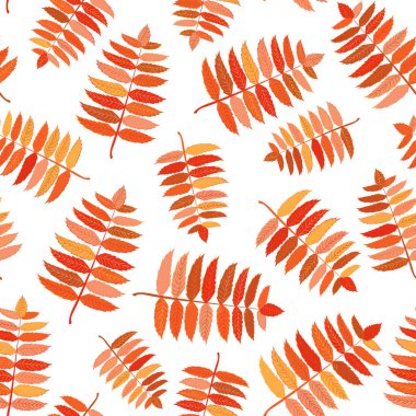 Kusursuz desenli, parlak, kurutulmuş sonbahar yaprakları beyaz arka planda izole edilmiş. Grafik tasarım sonbahar sembolü. Kırmızı turuncu, sarı, kuru sonbahar yaprakları. Sonbahar yaprakları mevsimsel arka plan. Vektör