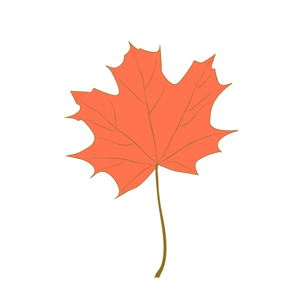 Vector Plano Ilustración Dibujos Animados Otoño Marchita Hoja Arce Canadiense — Archivo Imágenes Vectoriales