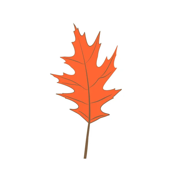 Плоский Векторный Рисунок Осеннего Сушеного Дуба Естественный Осенний Лиственный Элемент — стоковый вектор