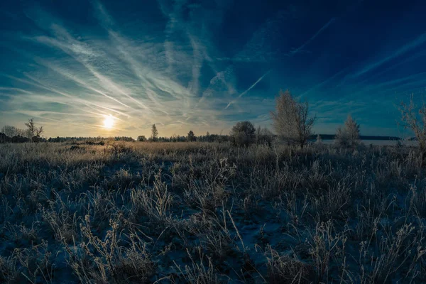 Inverno Neve Albero Paesaggio Freddo Gelo Cielo Natura Foresta Blu — Foto Stock