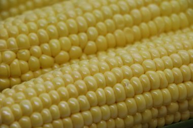     ,    Masada taze mısır, iştah açıcı ve sulu mısır fotoğrafı.