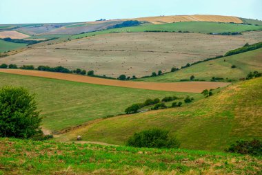 Sussex, tepeler haddeleme orta farklı bitkileri alanlarla patchwork bir buğday alanıdır