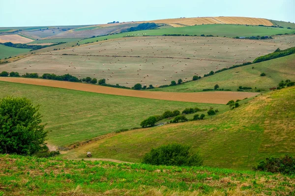 Sussex Sanften Hügeln Ein Flickenteppich Von Feldern Mit Verschiedenen Kulturen — Stockfoto