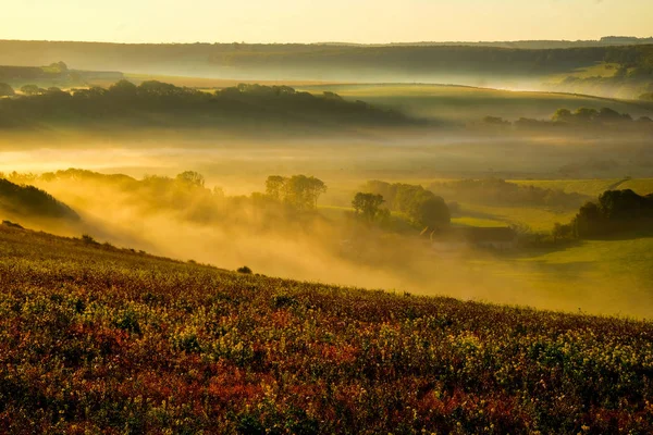 Cuckmere Vadisi East Sussex Amerika Birleşik Devletleri Birleşik Krallık Siste — Stok fotoğraf