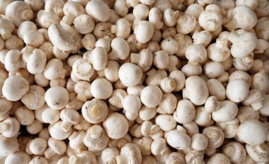 Yaklaşık 100 ham düğme mantar birbirlerinin üstüne yığılmış, tepegöz görünüm noktası mantar üzerine aşağı bakıyor