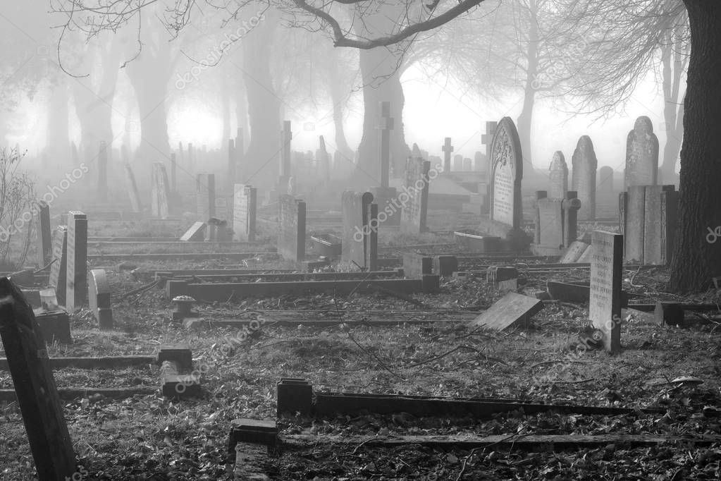 https://st4.depositphotos.com/15718592/25059/i/950/depositphotos_250592098-stock-photo-a-grave-yard-in-the.jpg