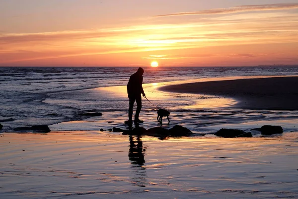 无法辨认的人走他的狗在一个废弃的海滩在阳光下 — 图库照片