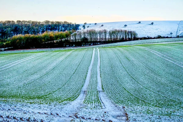 Güney Downs milli parkı don kaplı sürülmüş alan