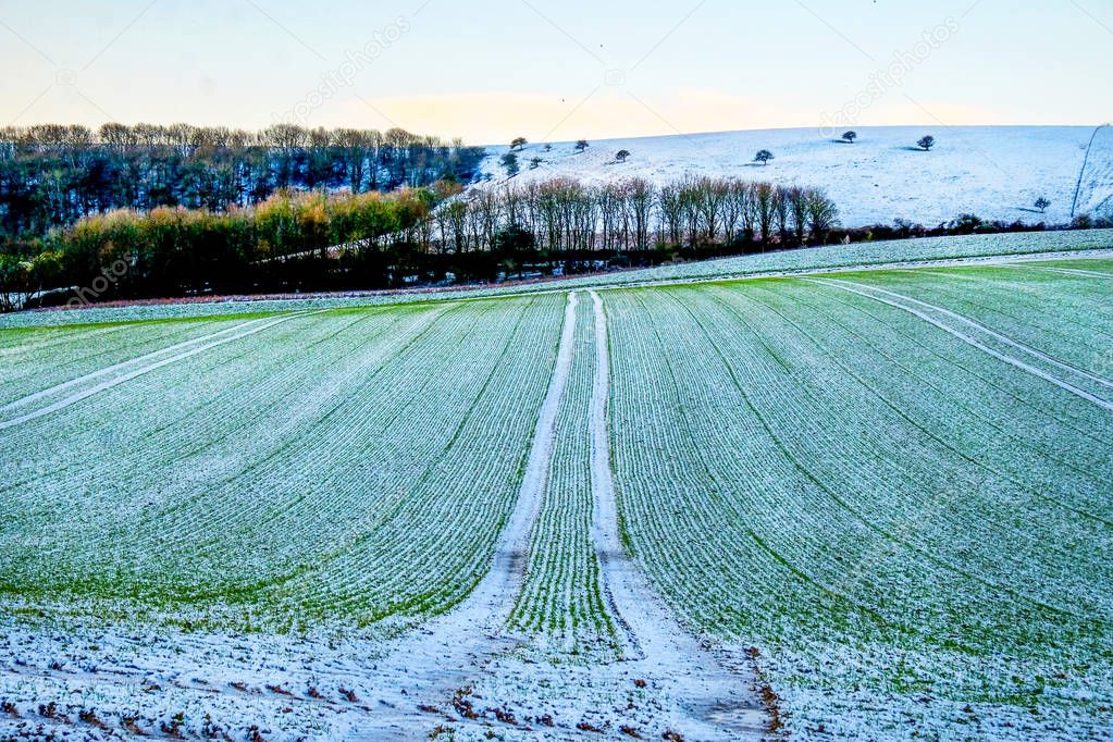 ploughed field covered in frost in The South Downs national Park