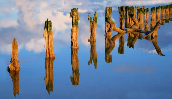 Väder slagen trästolpar i det reflekterande vattnet — Stockfoto