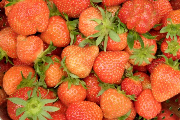 A close up of bright red strawberries in a big bowl Stock Picture