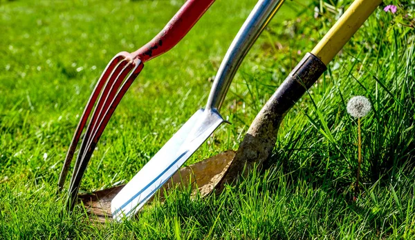 A red gardening fork and two gardening spades in grass