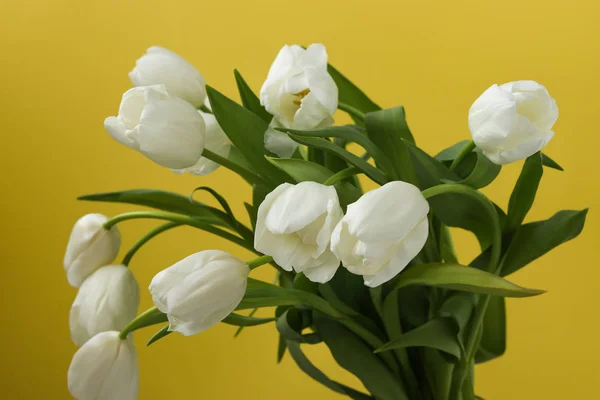 Wiosną bukiet świeżych białych tulipanów na żółtym tle — Zdjęcie stockowe
