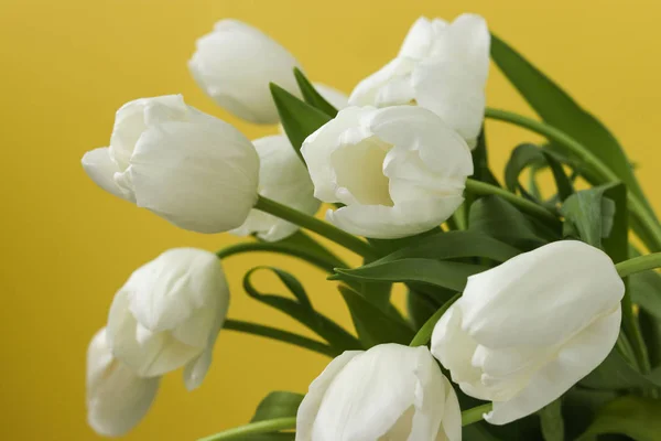 Весенний букет свежих белых тюльпанов на желтом фоне — стоковое фото