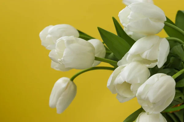 Ramo de primavera de tulipanes blancos frescos sobre un fondo amarillo — Foto de Stock