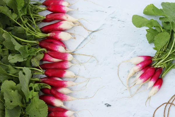 Rábano rojo cosechado en verano, Cultivo de verduras ecológicas, Ubicado sobre un fondo de mármol claro, Vista superior — Foto de Stock