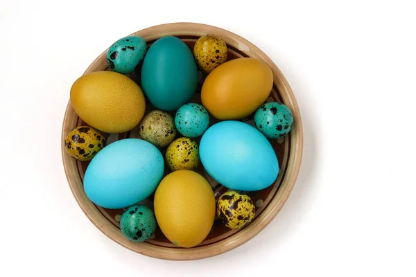 Huevos de codorniz y pollo amarillo y azul para Pascua, concepto de vacaciones de primavera — Foto de Stock
