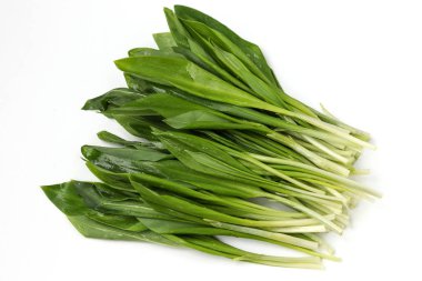 Beyaz bir arka plan üzerinde Ramson yabani sarımsak